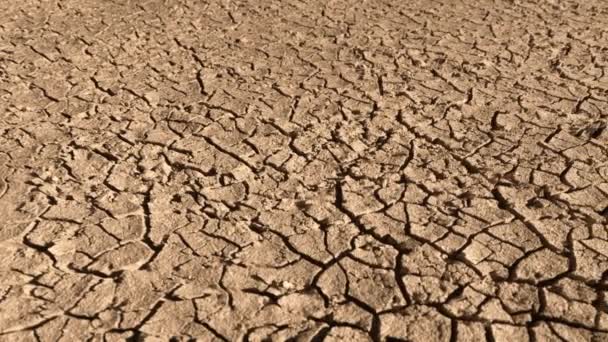 Sartén Sobre Suelo Seco Agrietado Brillante Durante Sequía — Vídeo de stock