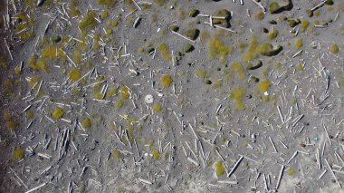 Cam bir duvarın yüzeyindeki metal doku..