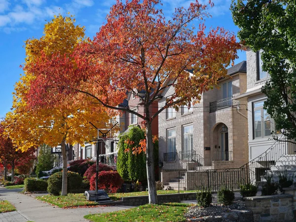 Calle Residencial Con Árboles Brillante Color Otoño — Foto de Stock