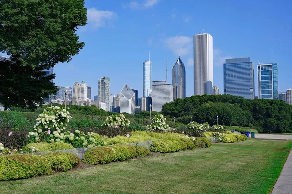 Chicago Skyline Centro Visto Grant Park — Fotografia de Stock