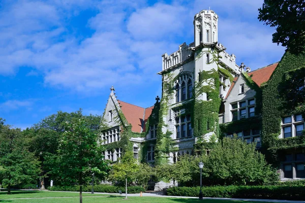 Ivy Coberto Edifícios Estilo Gótico Universidade Chicago — Fotografia de Stock
