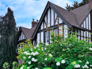 Ortanca çalılı Tudor tarzı bir ev.