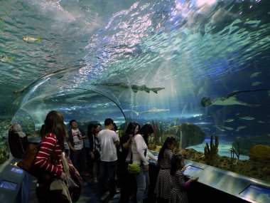 Ripley 'in Toronto' daki Kanada Akvaryumu