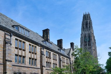 Yale Üniversitesi gotik tarz binası. Arka planda Harkness Kulesi var.