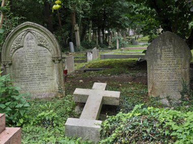 Çilekli açık hava meyve satıcısı.