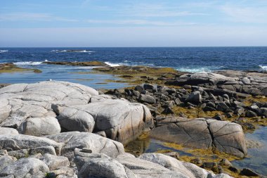 Rocky Atlantik Okyanusu kıyıları Nova Scotia 'da