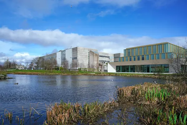 Dublin Üniversitesi 'nin modern banliyö kampüsü. Doğal sulak alanları var.