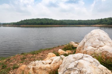 Arka planda ağaçlar olan güzel bir nehir kıyısı görüntüsü.