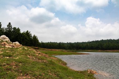 Arka planda ağaçlar olan güzel bir nehir kıyısı görüntüsü.