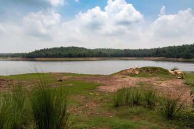 Arka planda ağaçlar olan güzel bir nehir kıyısı görüntüsü.