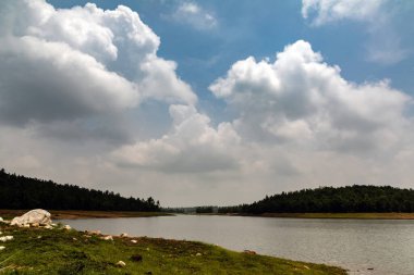 Arka planda ağaçlar olan güzel bir nehir kıyısı görüntüsü.