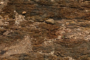 Islak toprağı çakıl taşlarıyla yakından çek. Kahverengi toprak desenli arka plan