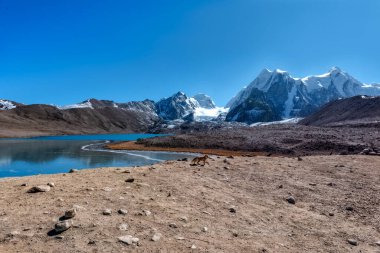 Kuzey Sikkim 'deki Gurudongmar Gölü' nün çarpıcı manzarası. 17800 feet yükseklikteki dünyanın en yüksek irtifa göllerinden biri..