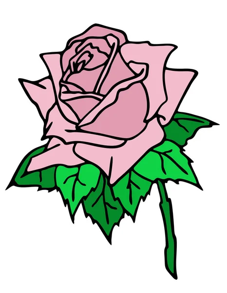 Disegno Ramo Rosa Con Fiore Rosa Foglie Elemento Isolato Design — Vettoriale Stock