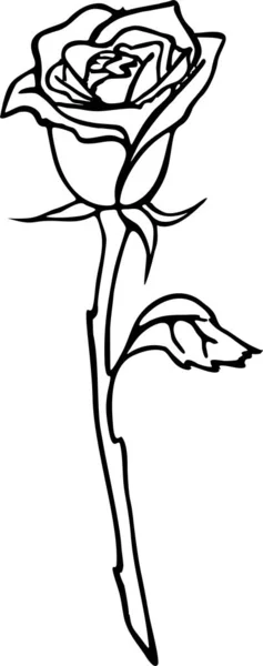 白色背景上的大型玫瑰花的黑色等高线图画 孤立的元素 — 图库矢量图片