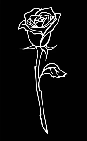 Dessin Contour Blanc Une Grande Fleur Rose Sur Fond Noir — Image vectorielle