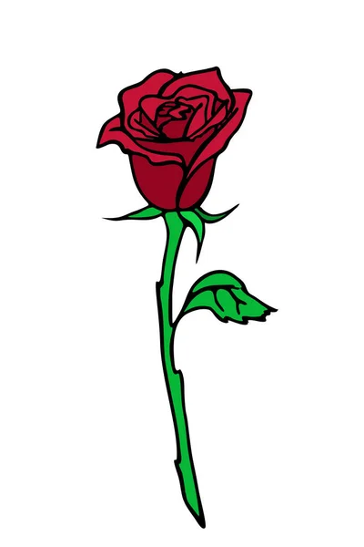 Rosa Disegno Ramo Con Fiore Rosso Foglie Elemento Isolato Disegno — Vettoriale Stock