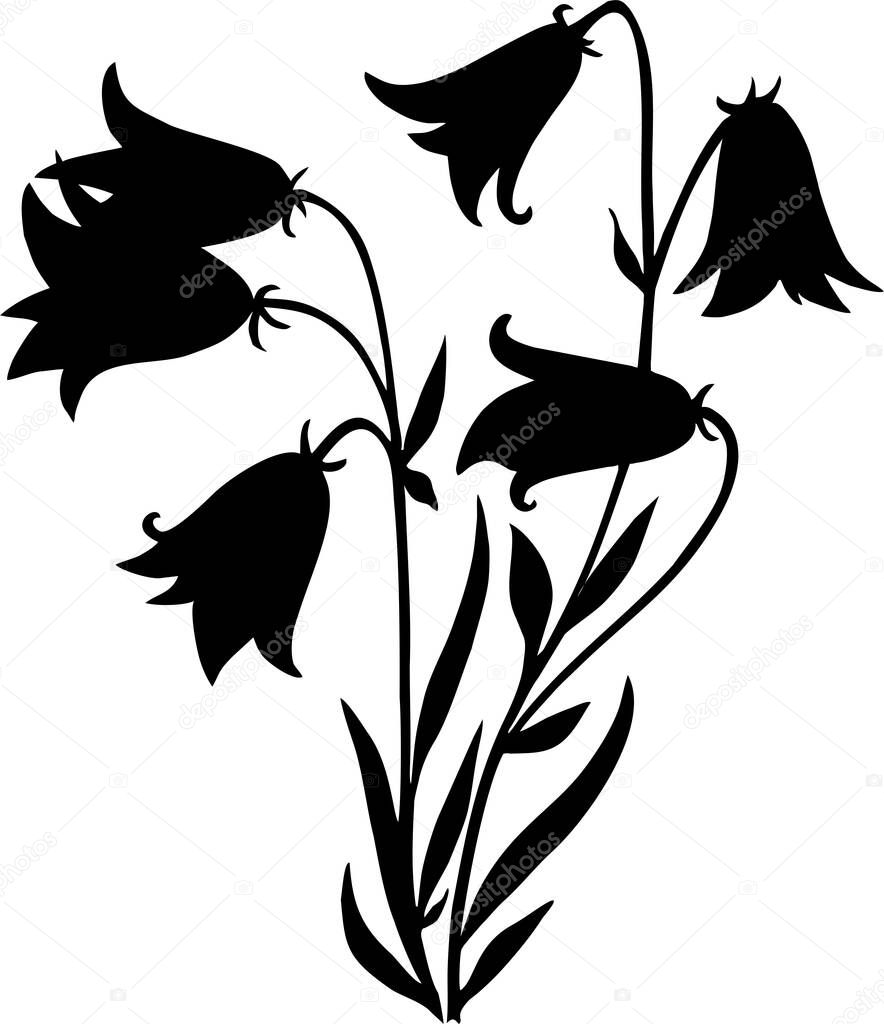 Black graphic silhouette of bell flowers on a white background, isolated element, decor