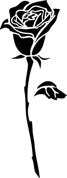 Чорний Контурний Малюнок Великої Квітки Троянди Білому Тлі Ізольований Елемент — стокове фото