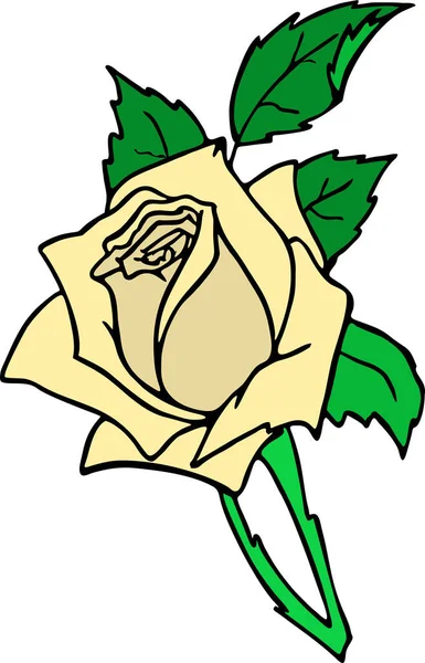 Σχέδιο Κλαδί Τριαντάφυλλο Μπεζ Λουλούδι Και Φύλλα Απομονωμένο Στοιχείο Σχέδιο — Φωτογραφία Αρχείου
