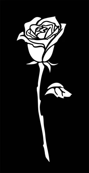 黒い背景に大きなバラの花の白い輪郭線 孤立した要素 — ストックベクタ
