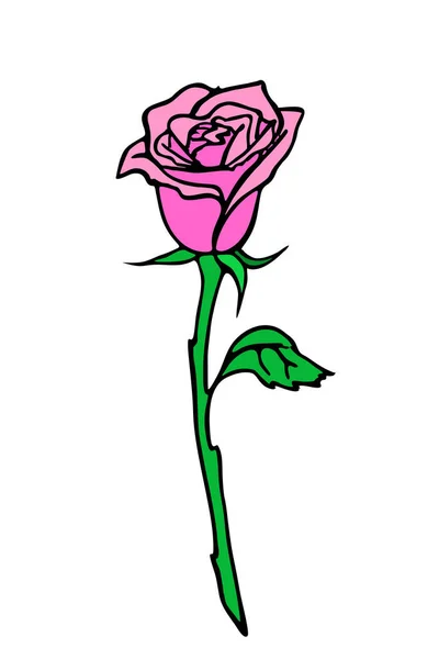 Σχέδιο Κλαδί Τριαντάφυλλο Ροζ Λουλούδι Και Φύλλα Απομονωμένο Στοιχείο Σχέδιο — Διανυσματικό Αρχείο