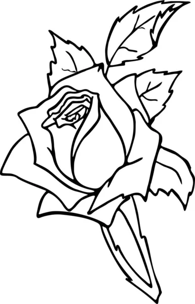 Disegno Contorno Nero Grande Fiore Rosa Sfondo Bianco Elemento Isolato — Vettoriale Stock