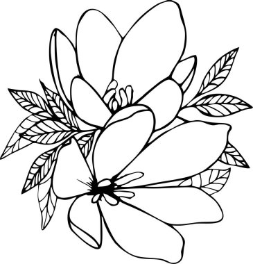 black contour drawing of two large flowers with leaves