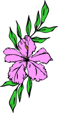 drawing of a branch of pink flowers with a black outline on a white background, logo, art