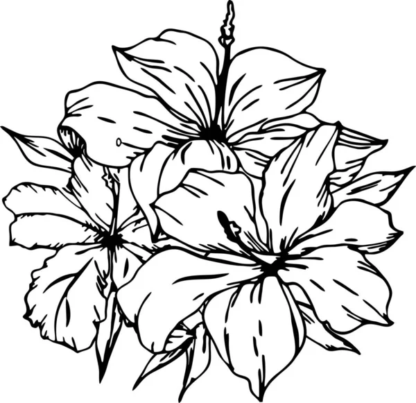 Černá Obrysová Kresba Větve Květin Bílém Pozadí Logo Výtvarné — Stockový vektor