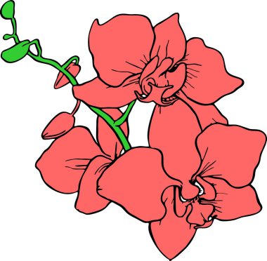 drawing of a branch of pink flowers with a black outline on a white background, logo, art