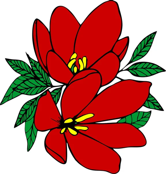 Kleur Grafische Tekening Van Twee Grote Rode Bloemen Met Een — Stockfoto