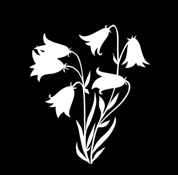 Dibujo Del Contorno Blanco Una Flor Sobre Fondo Negro Logotipo —  Fotos de Stock