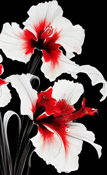 Dessin Noir Rouge Gladiolus Sur Fond Blanc Encre Dessin — Photo