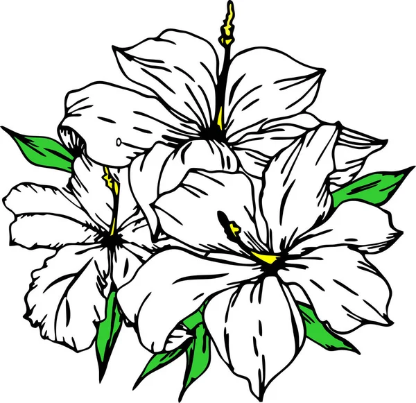 Desenho Ramo Flores Brancas Com Contorno Preto Fundo Branco Logotipo — Vetor de Stock
