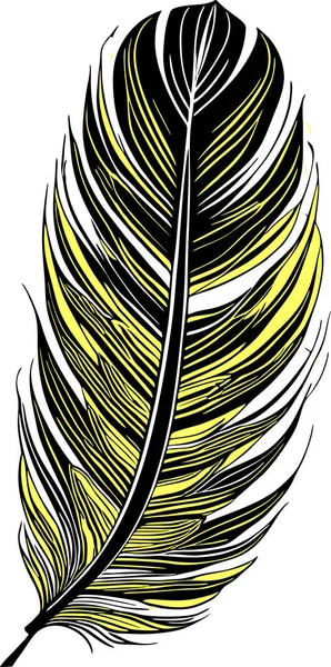 Einfache Grafische Zeichnung Schwarz Gelbe Vogelfeder Skizze Logo — Stockvektor
