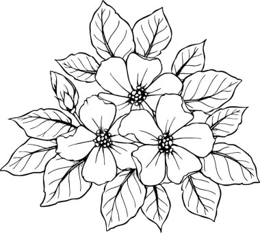 Beyaz arka plan, logo ve sanat üzerine bir çiçek dalının siyah çizimi