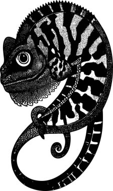 bir bukalemunun siyah çizimi yakın plan, monokrom grafikler, logo, dövme