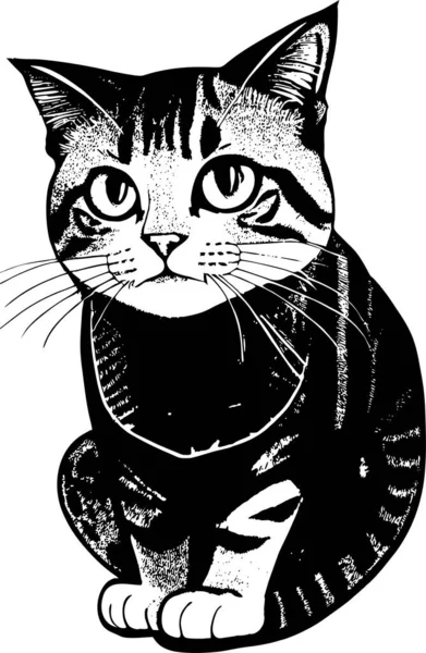 猫的黑白图画 单色图形 — 图库矢量图片