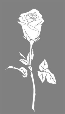 Gri arka planda bir buket çiçeğin beyaz grafik çizimi, tasarım