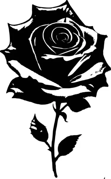 Schwarze Konturzeichnung Einer Rosenblüte Mit Blättern Monochrome Grafiken Logo — Stockvektor