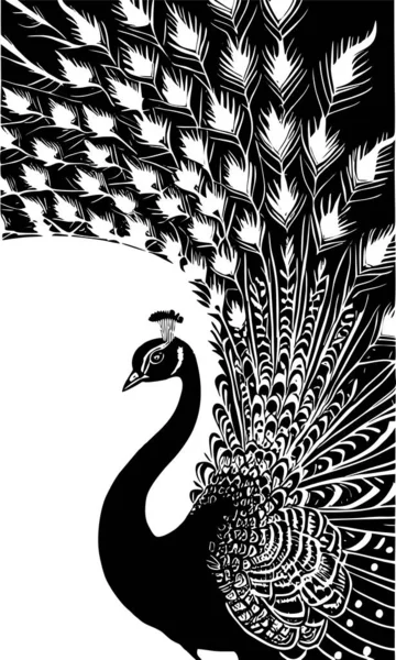 Stock vector black stylized drawing of a peacock on a white background, monochrome graphics, design