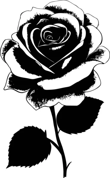 Чорний Контур Малюнок Квітки Троянди Листям Монохромна Графіка Логотип — стоковий вектор
