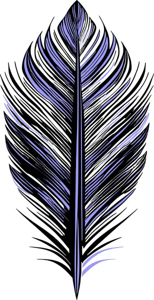 stock vector simple graphic drawing black and blue bird feather, sketch, logo