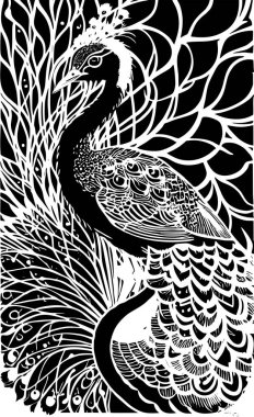 Siyah arkaplan, tek renkli grafikler, tasarım üzerine tavus kuşunun beyaz biçimli çizimi