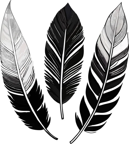 3羽の鳥の羽 デザインの黒いグラフィックコンター — ストックベクタ