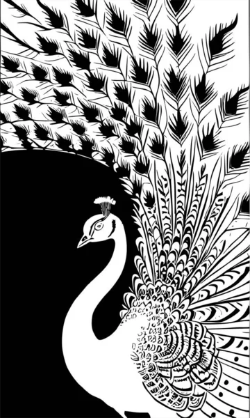 Siyah arkaplan, tek renkli grafikler, tasarım üzerine tavus kuşunun beyaz biçimli çizimi