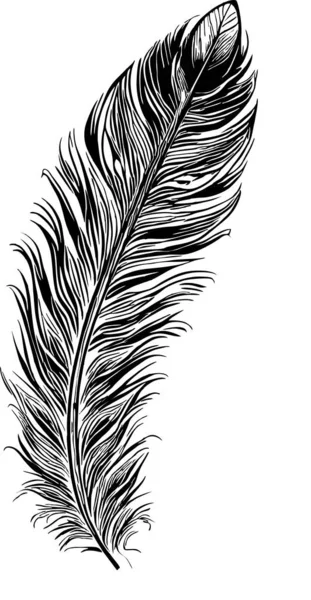 Black Graphic Contour Drawing Bird Feather Logo Design — Stock Vector