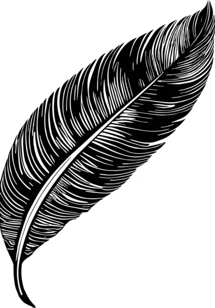 Black Graphic Contour Drawing Bird Feather Logo Design — Stock Vector