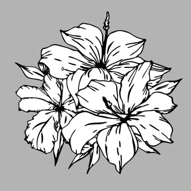 Gri arkaplan üzerinde bir çiçek dalının siyah beyaz çizimi, tasarım